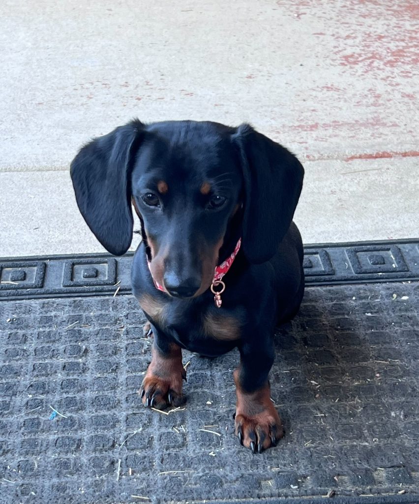Max