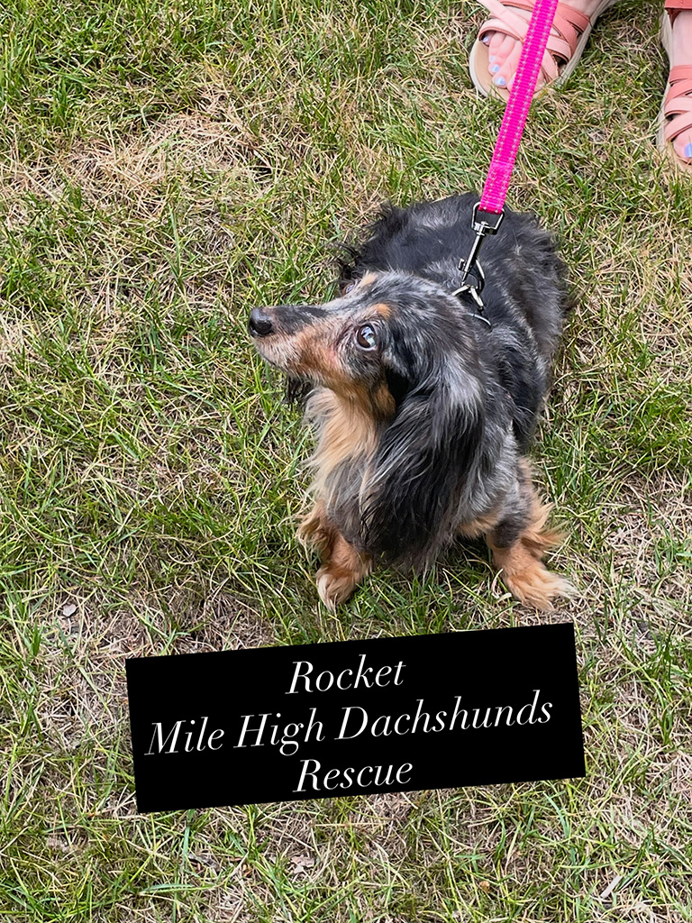 rocket
